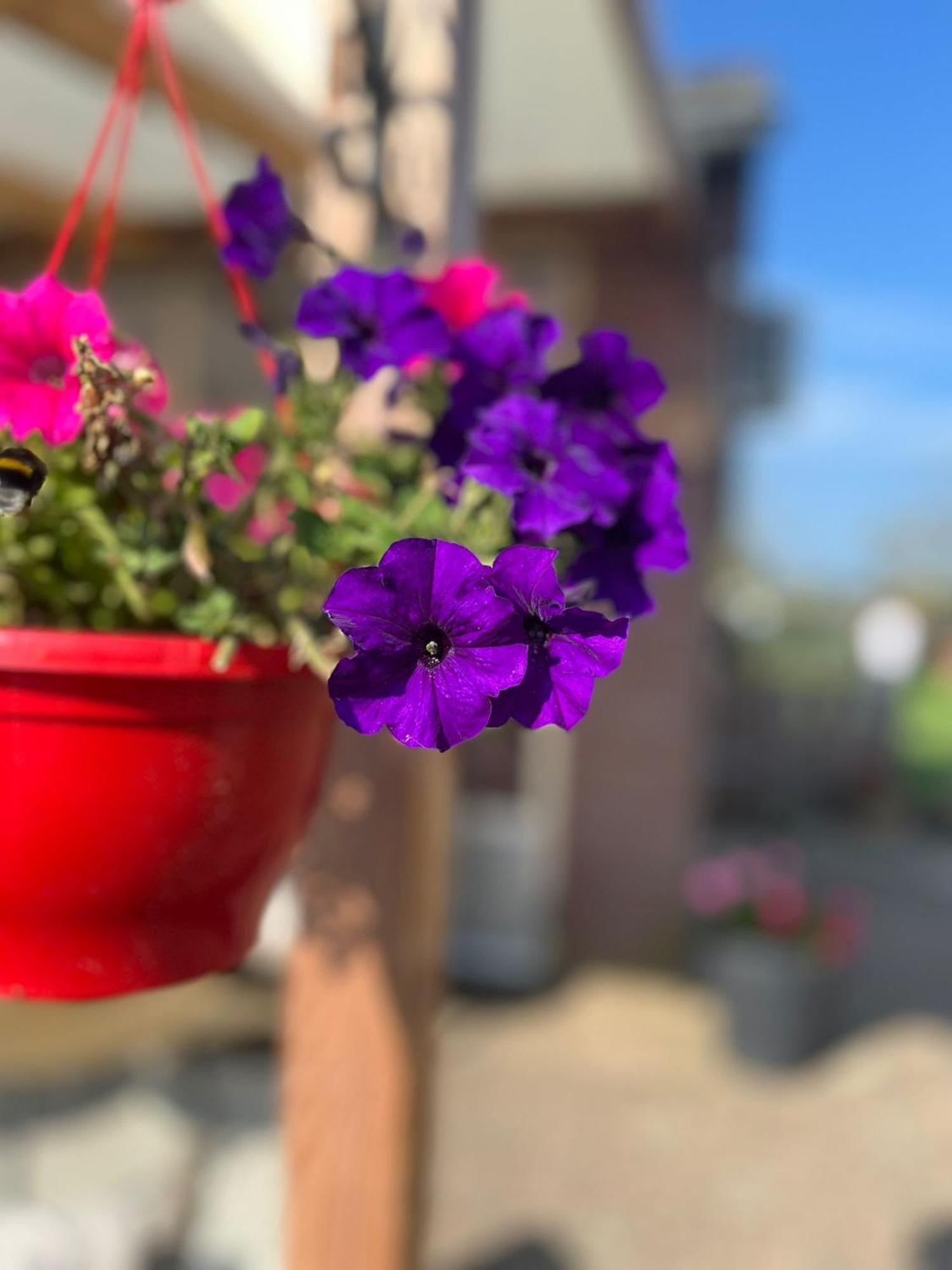 B&B Het Gelders Buitenleven Overasselt Bagian luar foto