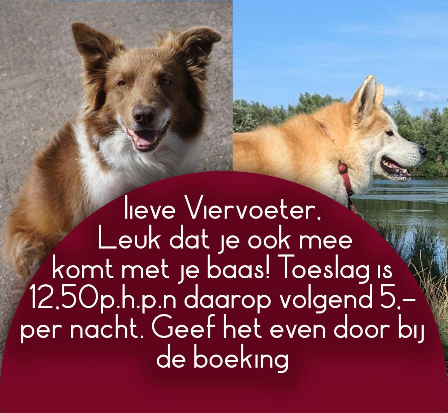 B&B Het Gelders Buitenleven Overasselt Bagian luar foto